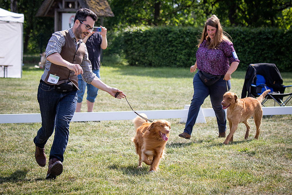 Edison läuft immer noch lächelnd an Stephans Seite vor dem Chessie durch den Ehrenring