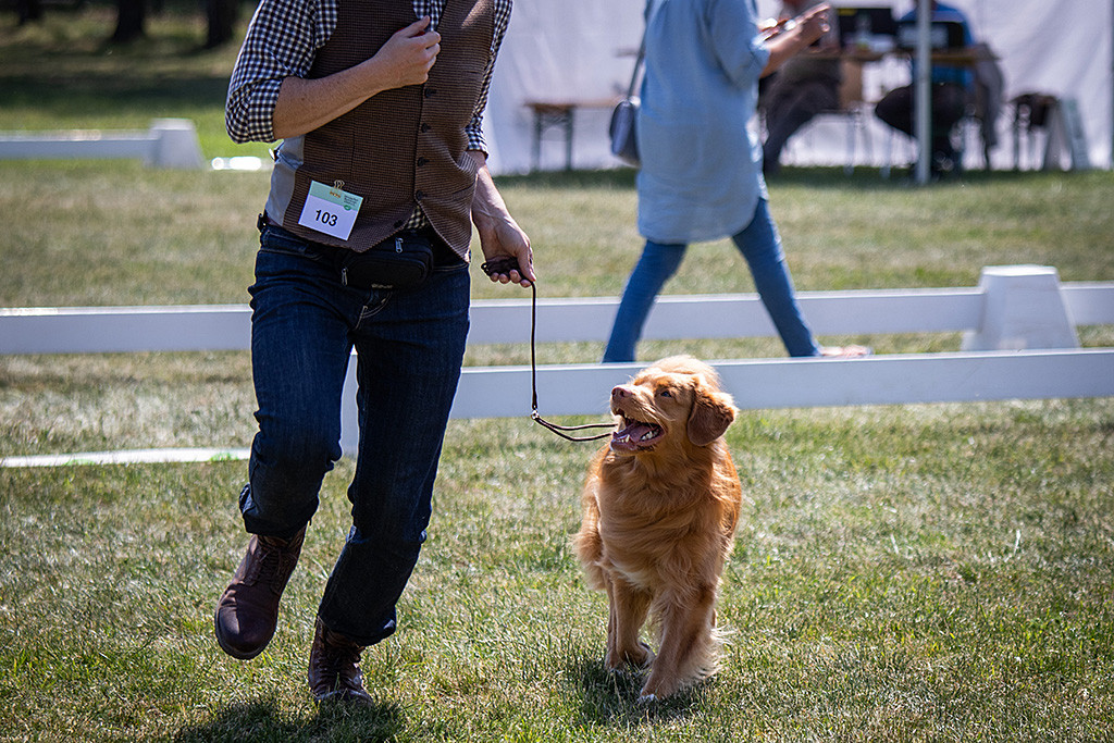 Edison läuft an Stephans Seite und schaut dabei lächelnd zu ihm hoch