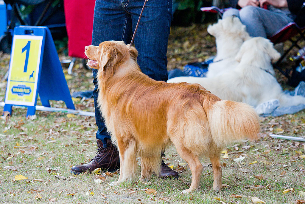 Edison steht vor Stephan und schaut in Richtung des Richters, der nicht im Bild ist