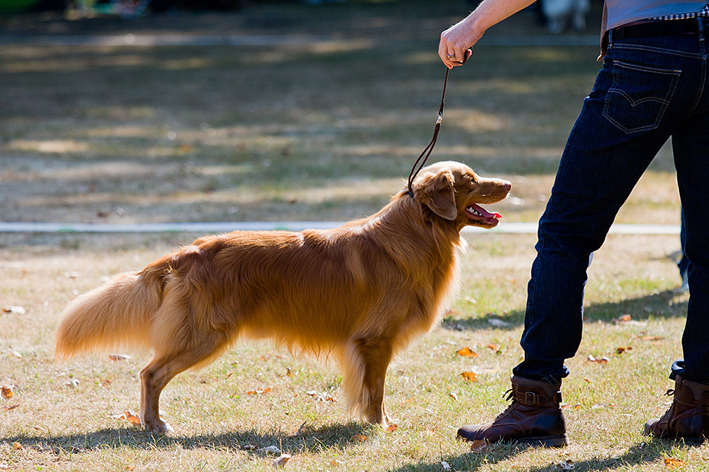 Edison steht vorzüglich in Pose an Stephans Seite