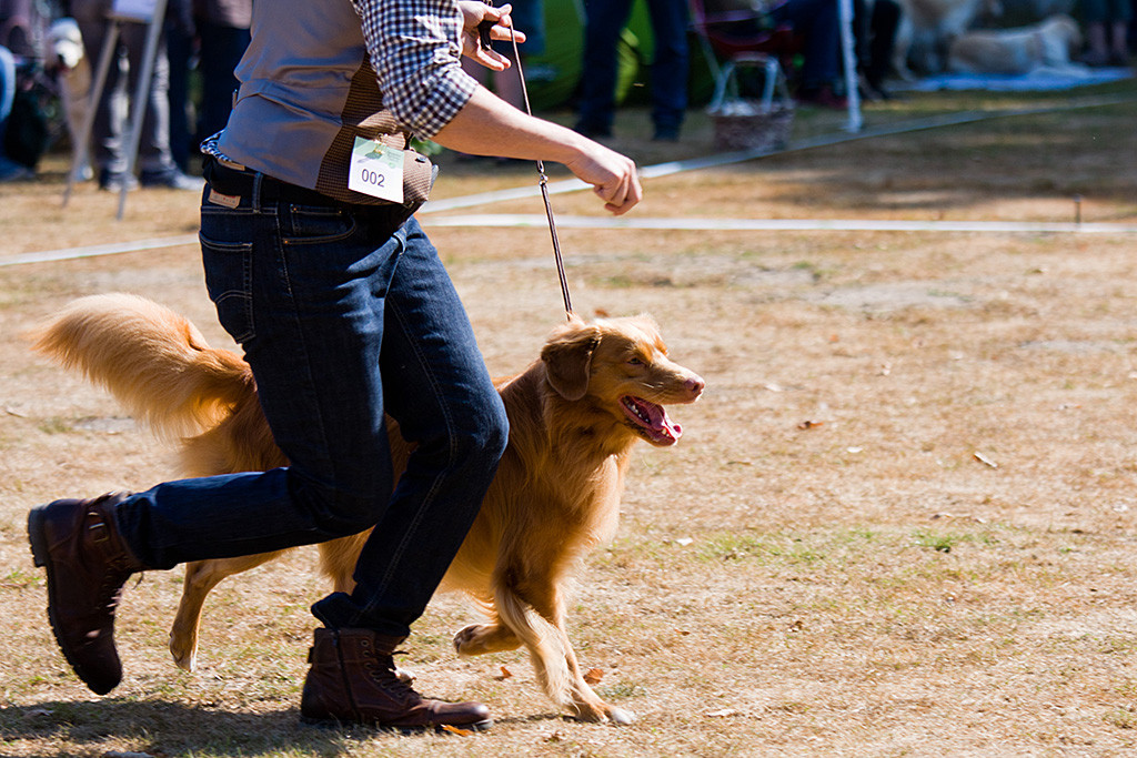 Edison läuft mit einem breiten Lächeln an Stephans Seite auf den Richter zu, der nicht im Bild ist