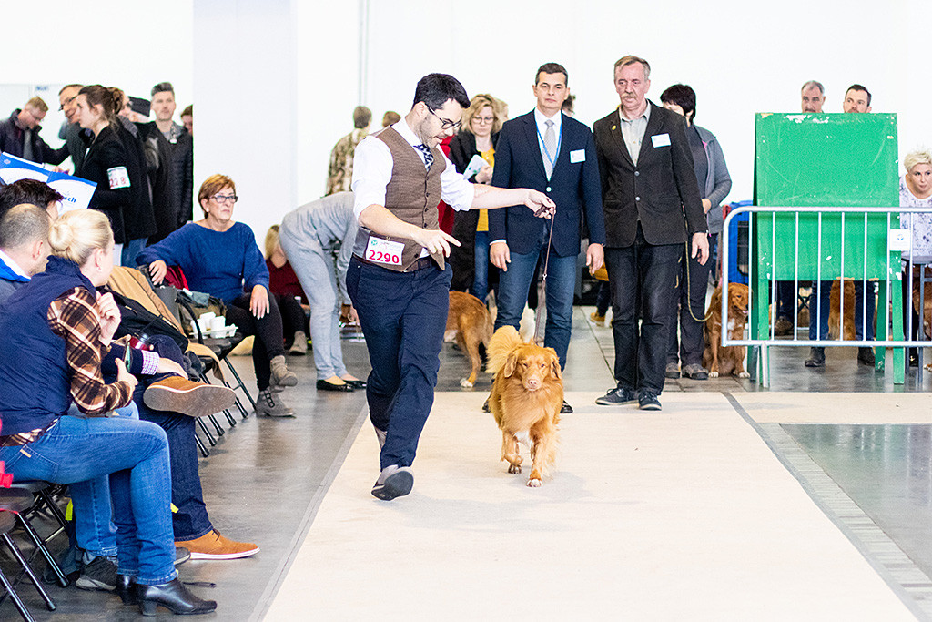 Edison präsentiert dem Richter und dem Richteranwärter sein Gangwerk auf der Geraden, die sich das im Hintergrund genau ansehen