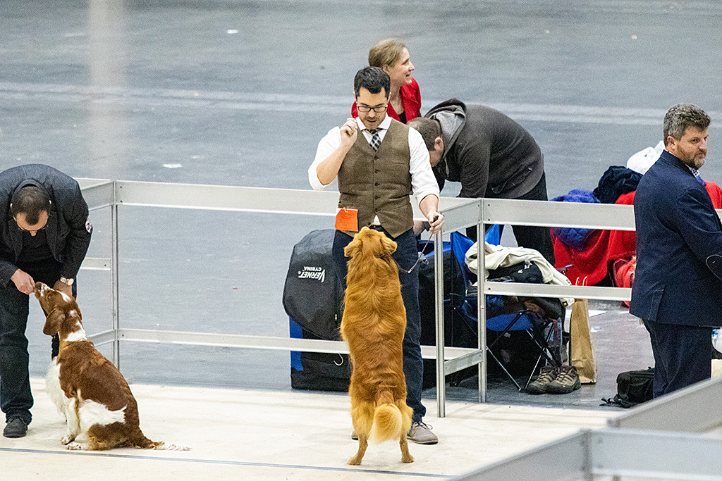 Edison macht Männchen vor Stephan im Vorring