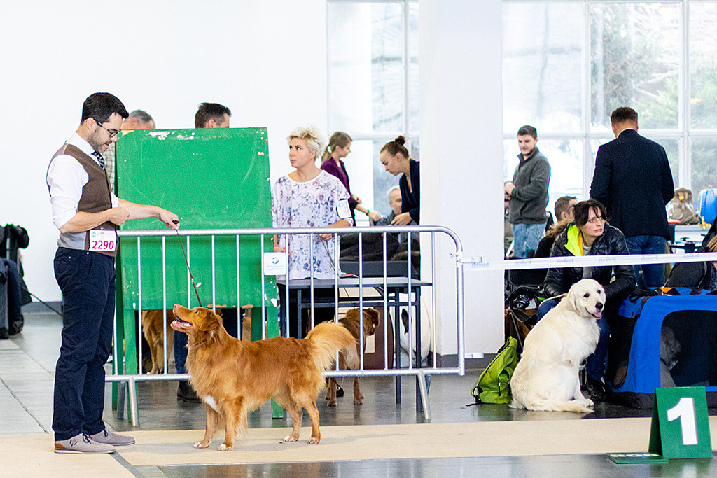 Edison steht frontal vor Stephan in perfekter Ausstellungspose und lächelt ihn dabei an