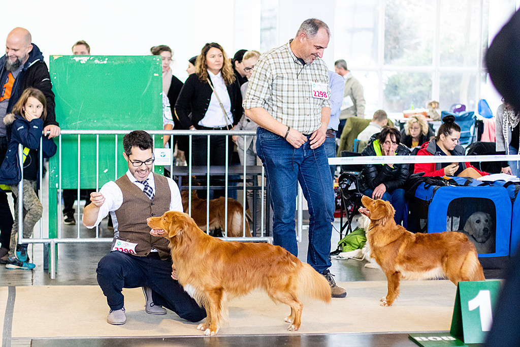 Edison steht als BOB vor Stephan und neben Fiine, die neben Frank steht und BOS geworden ist