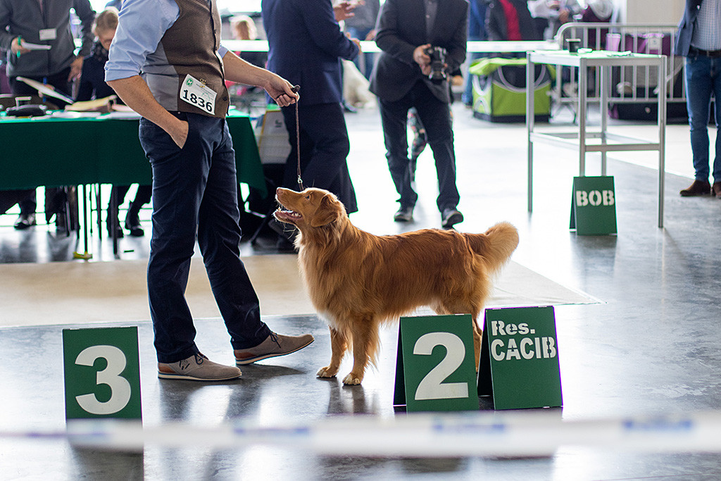Edison steht vor Stephan hinter dem Reserve CACIB Schild und lächelt zu ihm hoch