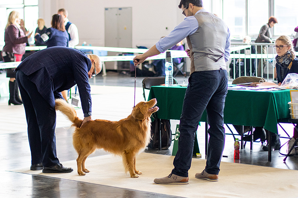 Edison steht lächelnd frontal vor Stephan vor dem Richtertisch während der Richter den Rutenansatz prüft