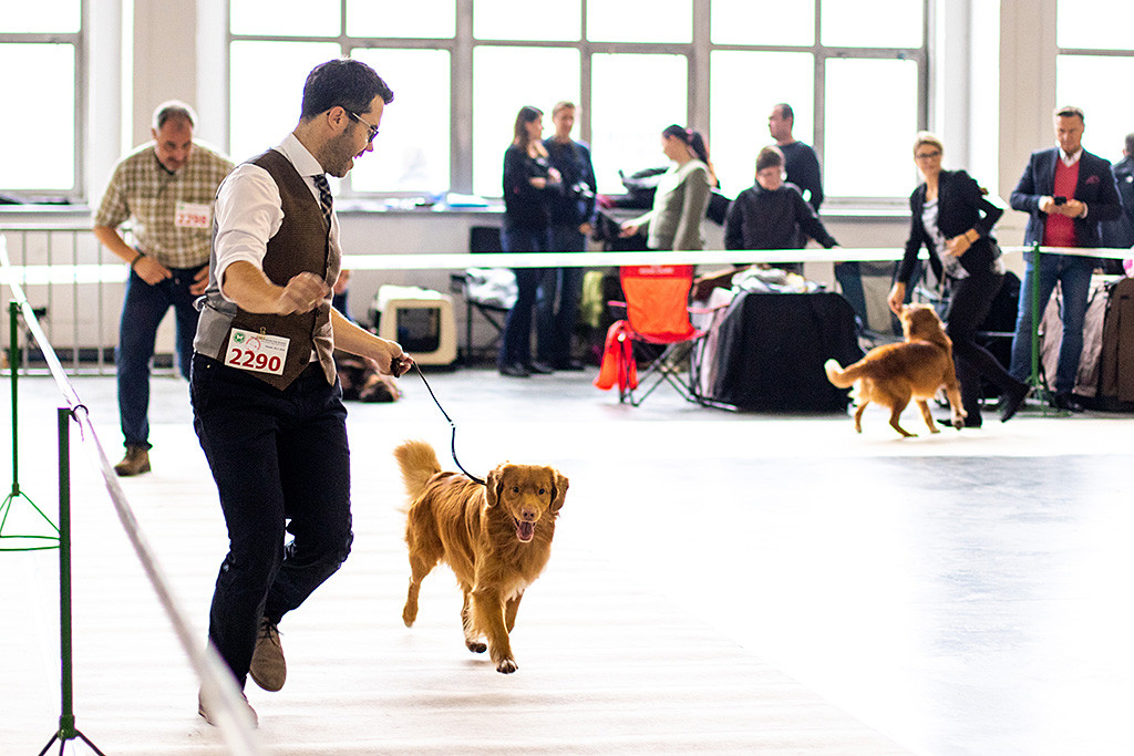 Edison läuft freudestrahlend an Stephans Seite durch den Ring, dahinter Frank mit Fiine