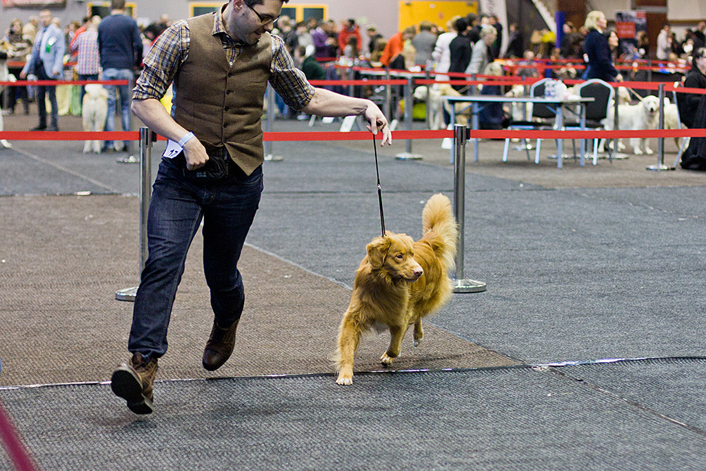 Edison läuft an Stephans Seite stolz durch den Ring