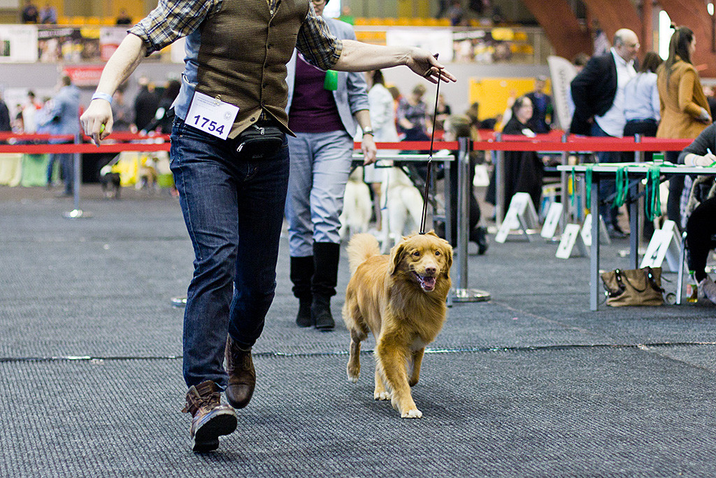Edison läuft geführt von Stephan auf der geraden Bahn von der Richterin weg