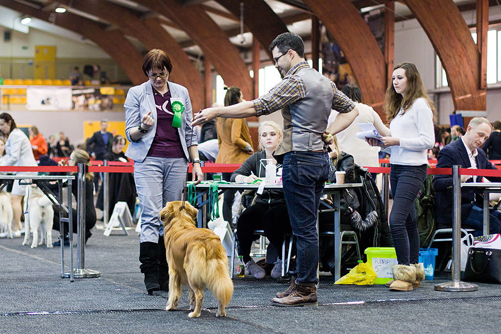 Edison steht frontal vor der Richterin, die ihn sich genau anschaut, Stephan steht rechts daneben