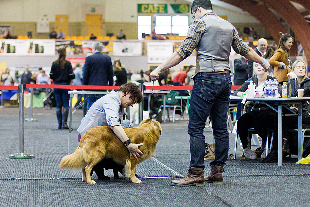 Edisons Brustkorb wird von der Richterin abgetastet und umarmt ihn dabei