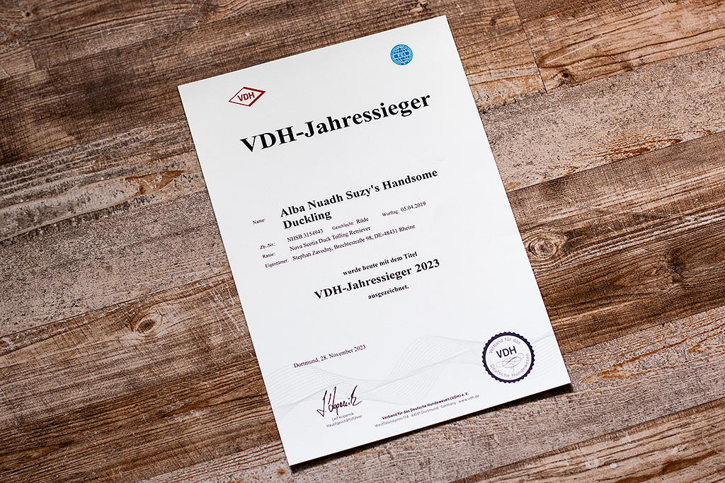 Newtons Urkunde zum VDH-Jahressieger 2023