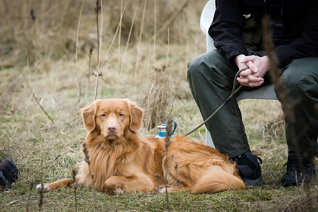 Edison liegt vor Stephan, der in einem Stuhl sitzt, beide warten