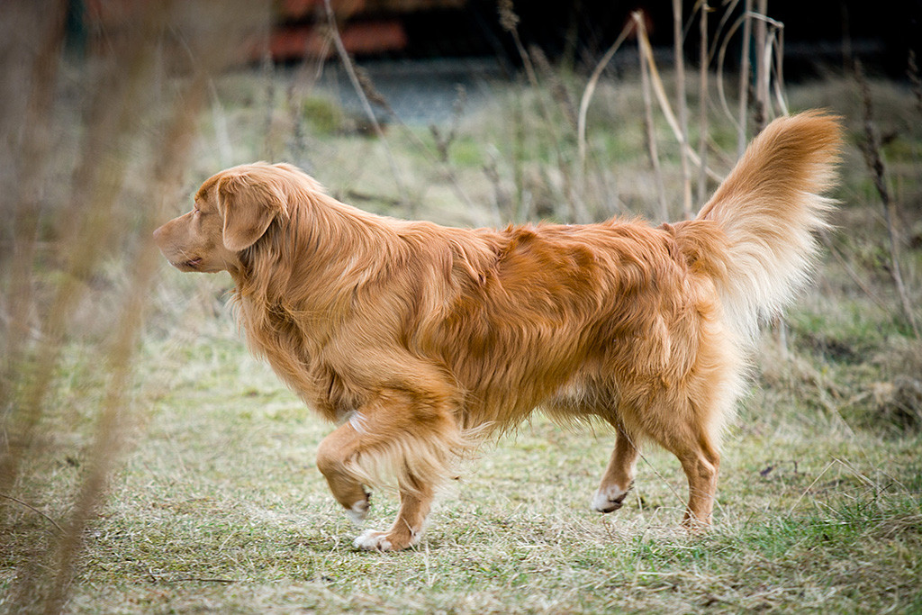 Edison mitten in der Bewegung beim Umdrehen