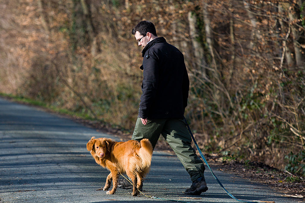 Edison läuft an der Schleppleine bei Fuß und dreht sich dabei gerade um