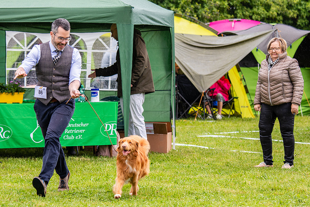 Newton freudig bei der Gangwerkprobe auf der Geraden von der Richterin weg