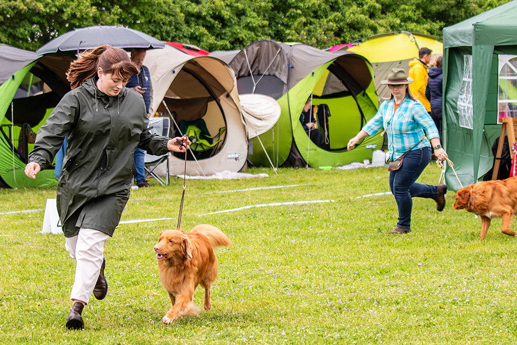 Edison läuft freudig an Ann-Kathrins Seite durch den Ring