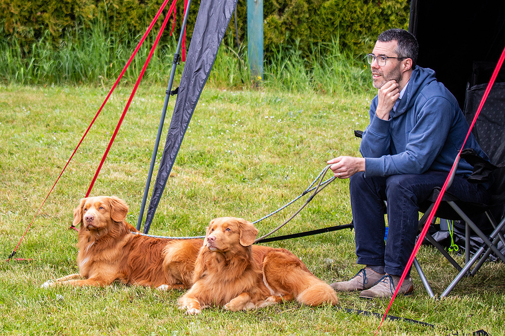 Newton und Edison liegen vor Stephan im Gras, der auf einem Stuhl im Zelt sitzt