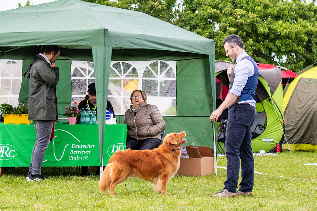 Edison steht vor dem Richtertisch und lächelnd dabei hoch zu Stephan, im Hintergrund diktiert die Richterin ihren Bericht