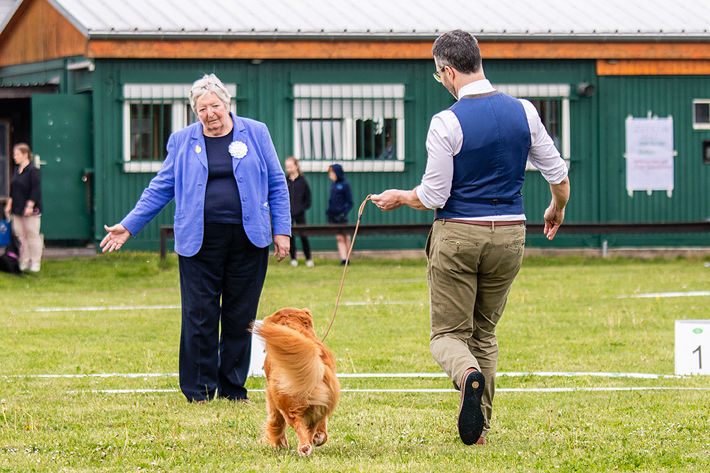 Newton läuft freudig auf der Geraden auf die Richterin zu