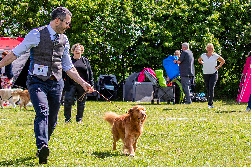 Newton läuft freudig auf der Geraden an Stephans Seite von der Richterin weg