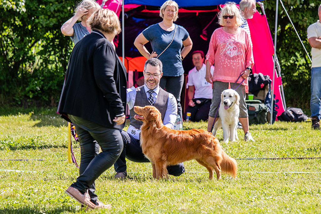 Newton steht seitlich im Profil vor Stephan, der hinter ihm kniet, davor läuft die Richterin und schaut ihn sich nochmal an