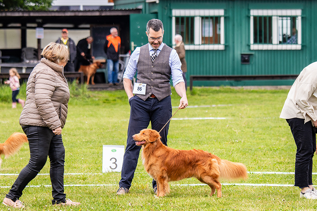 Newton steht wie eine Eins vor Stephan während die Richterin sich ihn nochmal anschaut