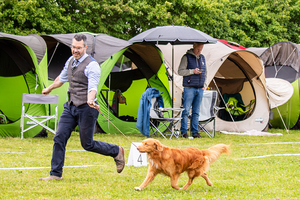 Newton läuft an Stephans Seite im perfekten Kreuzgang durch den Ring