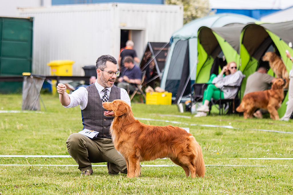 Newton steht seitlich im Profil, dahinter kniet Stephan