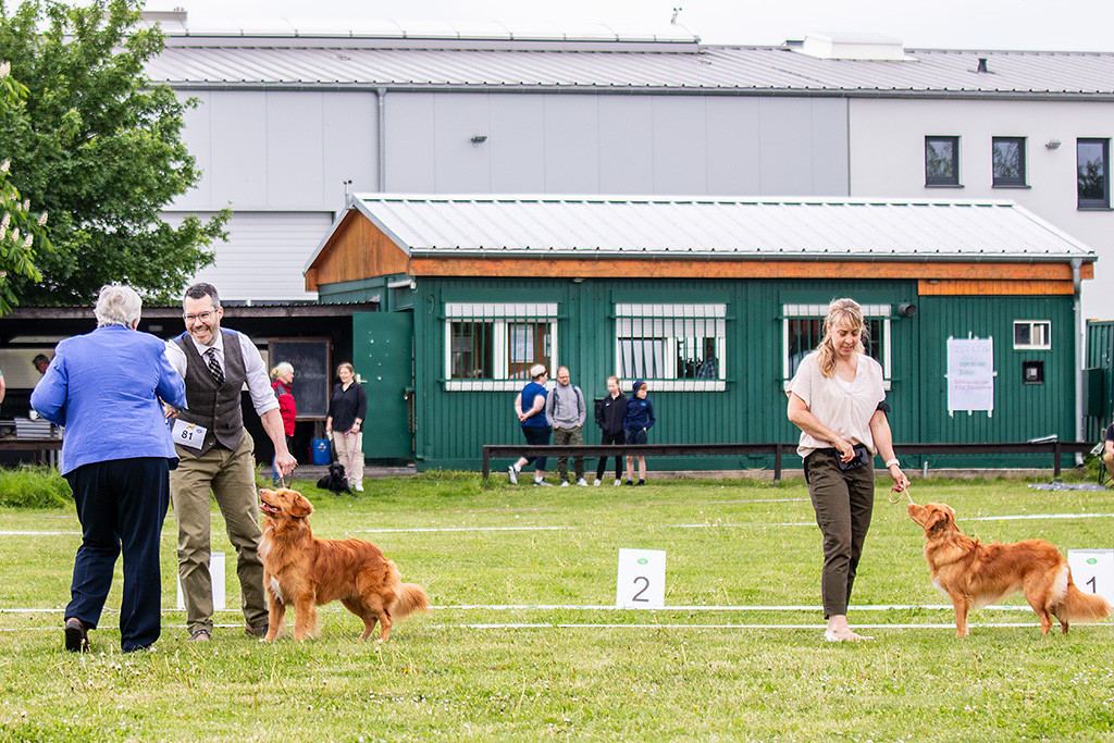 Newton schaut freudig zur Richterin hoch, die Stephan die BOB-Schleife überreicht