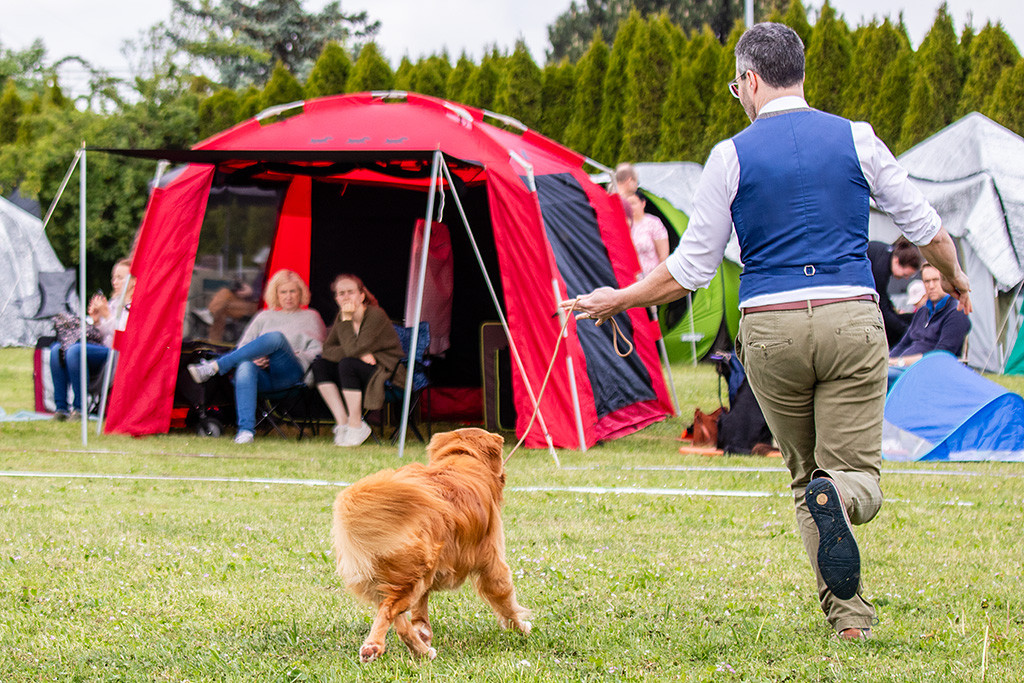 Newton läuft im perfekten Kreuzgang an Stephans Seite durch den Ring