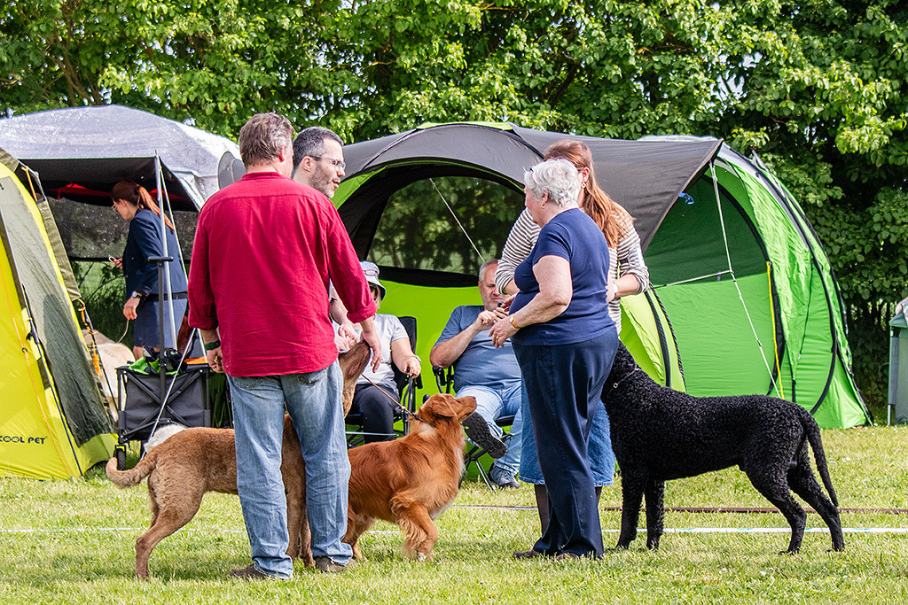 Newton steht zusammen mit dem Chesapeake Bay Retriever und dem Curly Coated Retriever während sich die Richterin mit Nikolai, Ann-Kathrin und Stephan unterhält