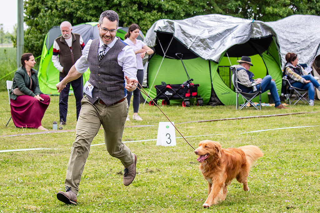 Newton dreht an Stephans Seite freudig eine Ehrenrunde durch den Ring