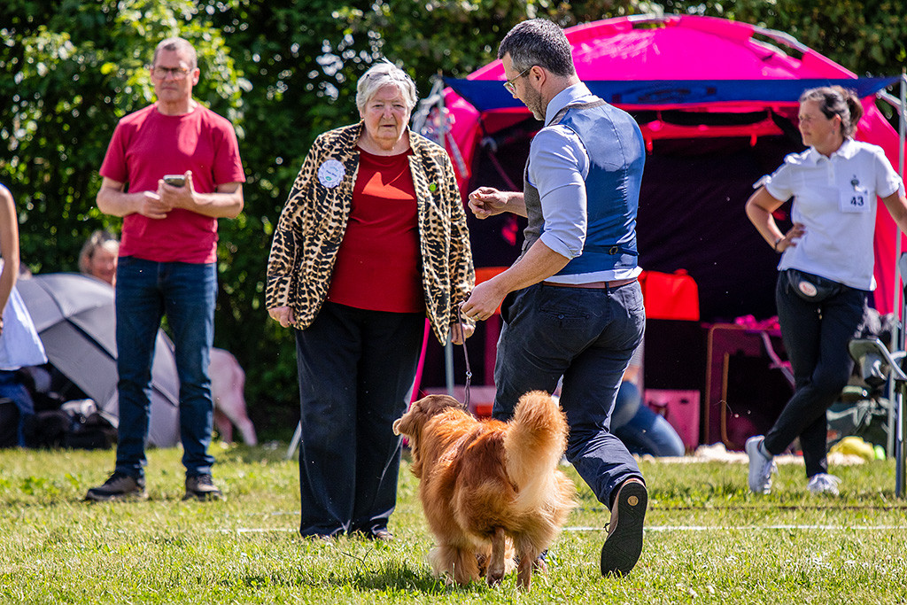 Edison läuft im Ehrenring an Stephans Seite auf die Richterin zu