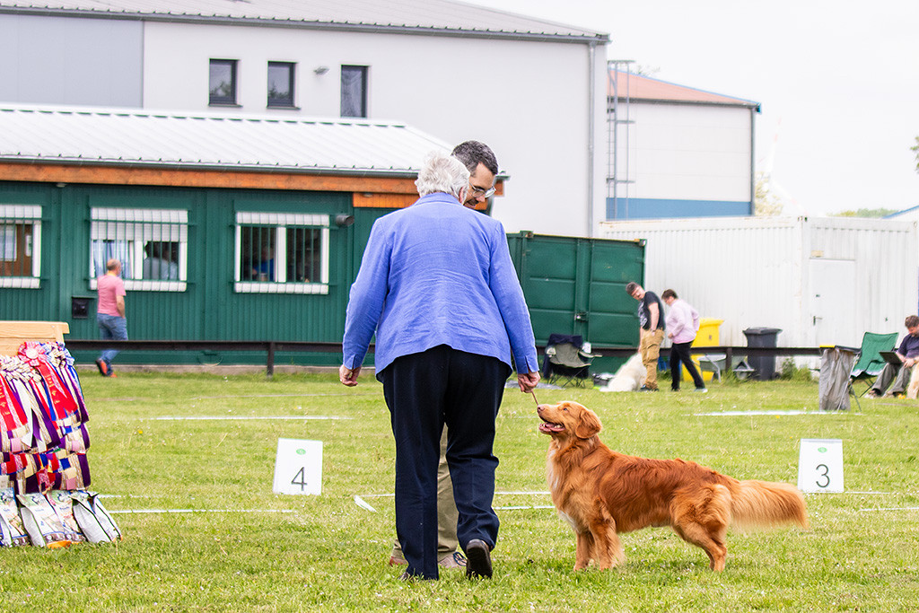 Newton schaut freudig zur Richterin hoch, die auf ihn zugeht
