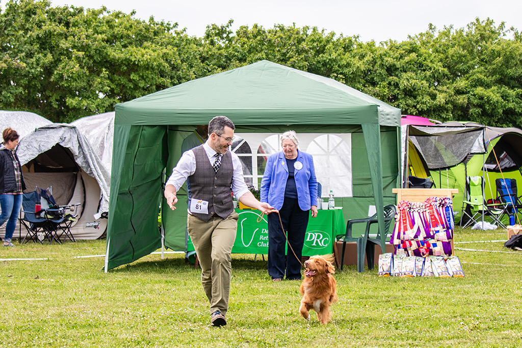 Newton läuft bei der Gangwerkprobe auf die Kamera zu, schaut dabei freudig hoch zu Stephan, die Richterin begutachtet währenddessen im Hintergrund