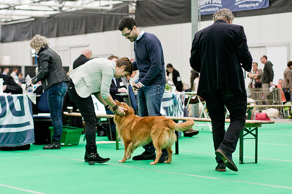 Edisons Kopf wird von der Richterin in beide Hände genommen während Stephan dahinter steht und lacht
