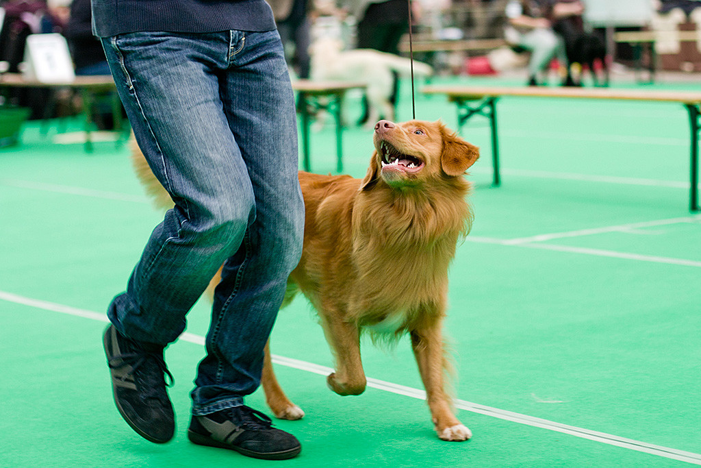 Edison läuft lächelnd neben Stephan im Ring