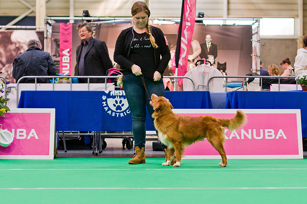 Aramis Rocco Di Casa posiert während ihr Frauchen hinter ihm steht