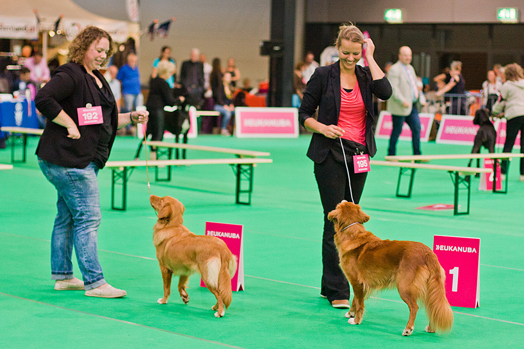 Platz 2 Alba Nuadh Best Kept Secret und Platz 1 Desire Of Red Glory bei der Wahl zur besten Hündin