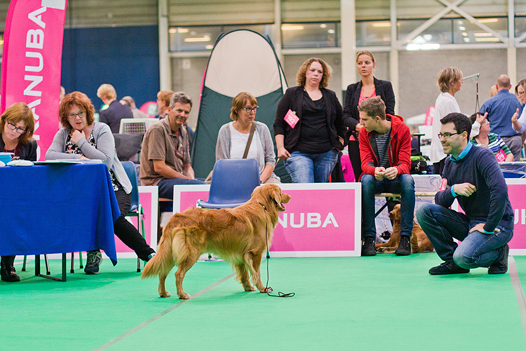 Edison posiert vor dem Richtertisch, wo die Richterin ihren Bericht diktiert, Stephan kniet vor Edison, beide schauen sich an