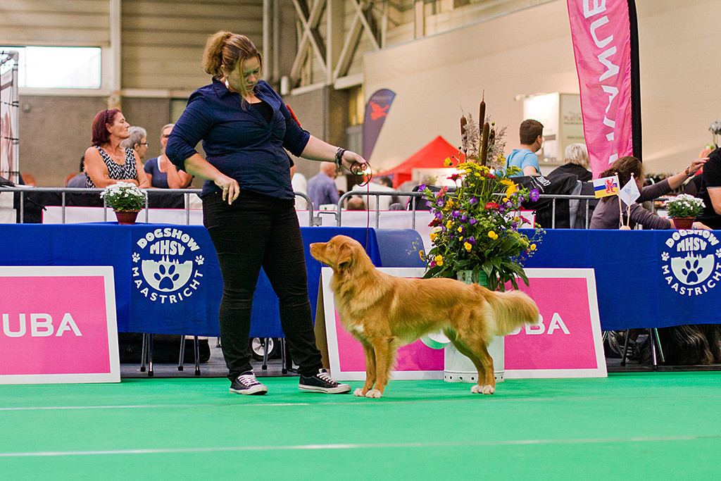 Alba Nuadh Gwenny’s Working Secret posiert während ihr Frauchen hinter ihm steht