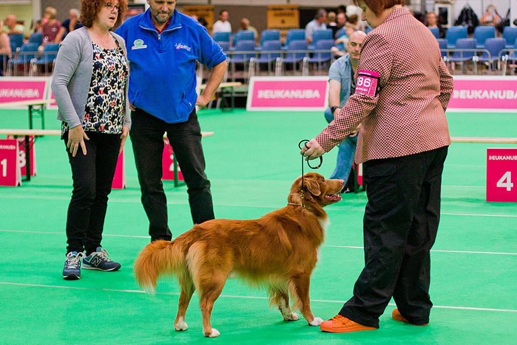 Riverwatcher Atka wird von den Richtern begutachtet
