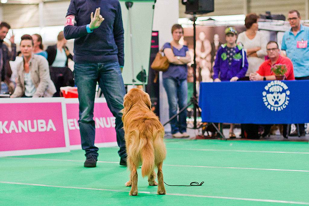 Edisons posiert mit dem Rücken zur Kamera, Stephan steht vor ihm und weist ihn an zu bleiben