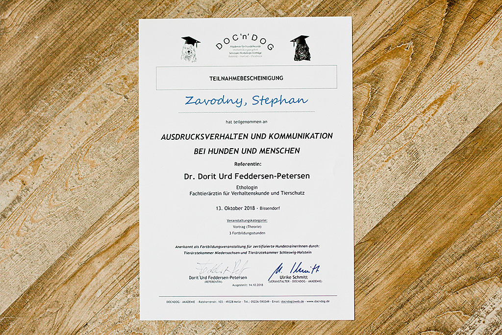 Stephans Teilnahmebescheinigung zum Seminar »Ausdrucksverhalten und Kommunikation bei Hunden und Menschen«