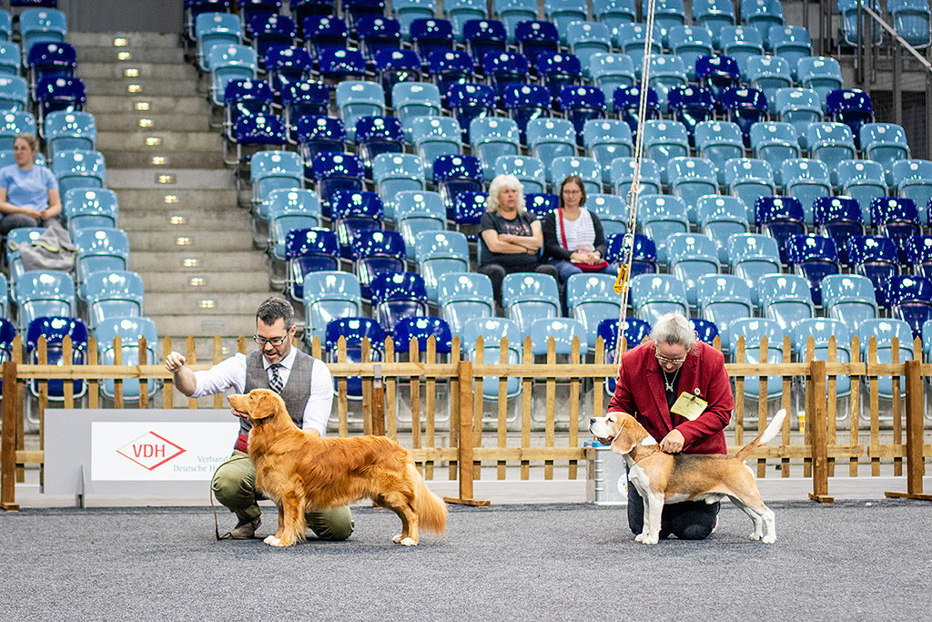 Newton steht neben dem Beagle