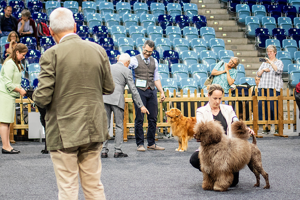 Edison wird von Richter Erwin Deutscher in die Shortlist gewählt