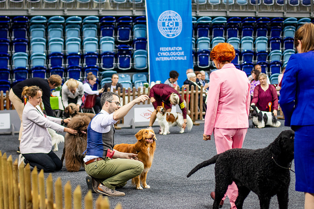 Newton flirtet mit der Richterin der Gruppe 8, die sich ihn im Lineup genau anschaut