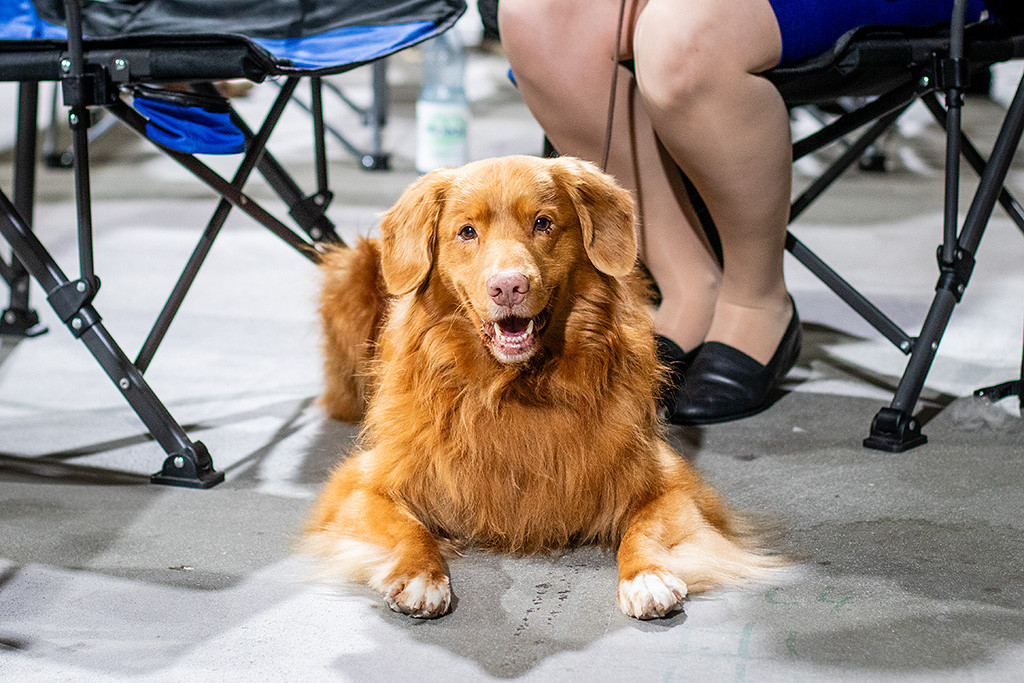 Edison liegt Ann-Kathrin zu Füßen und grinst dabei in die Kamera
